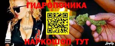 ALPHA PVP Ачхой-Мартан