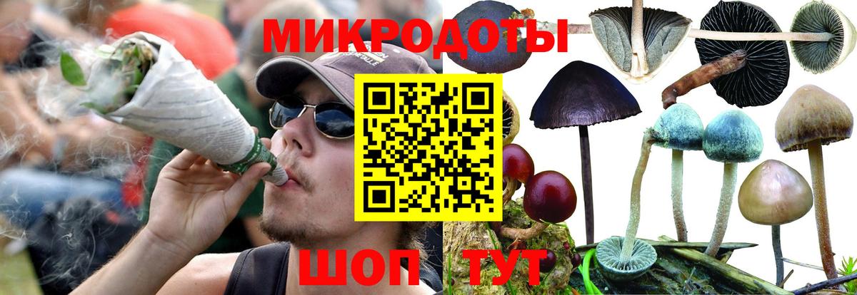 Псилоцибиновые грибы GOLDEN TEACHER Кемерово